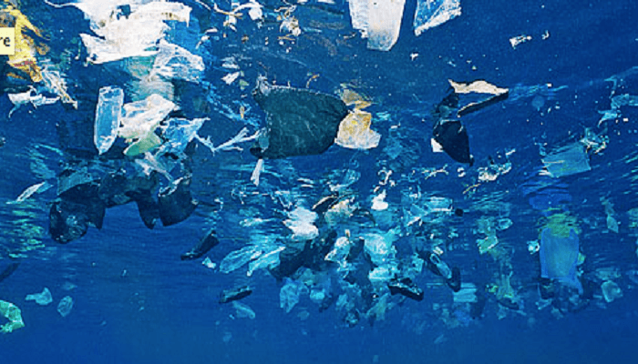 Danmark ønsker pant på plastposer. Sverige er allerede i gang. Et miljørettet tiltak som Norge burde innført?